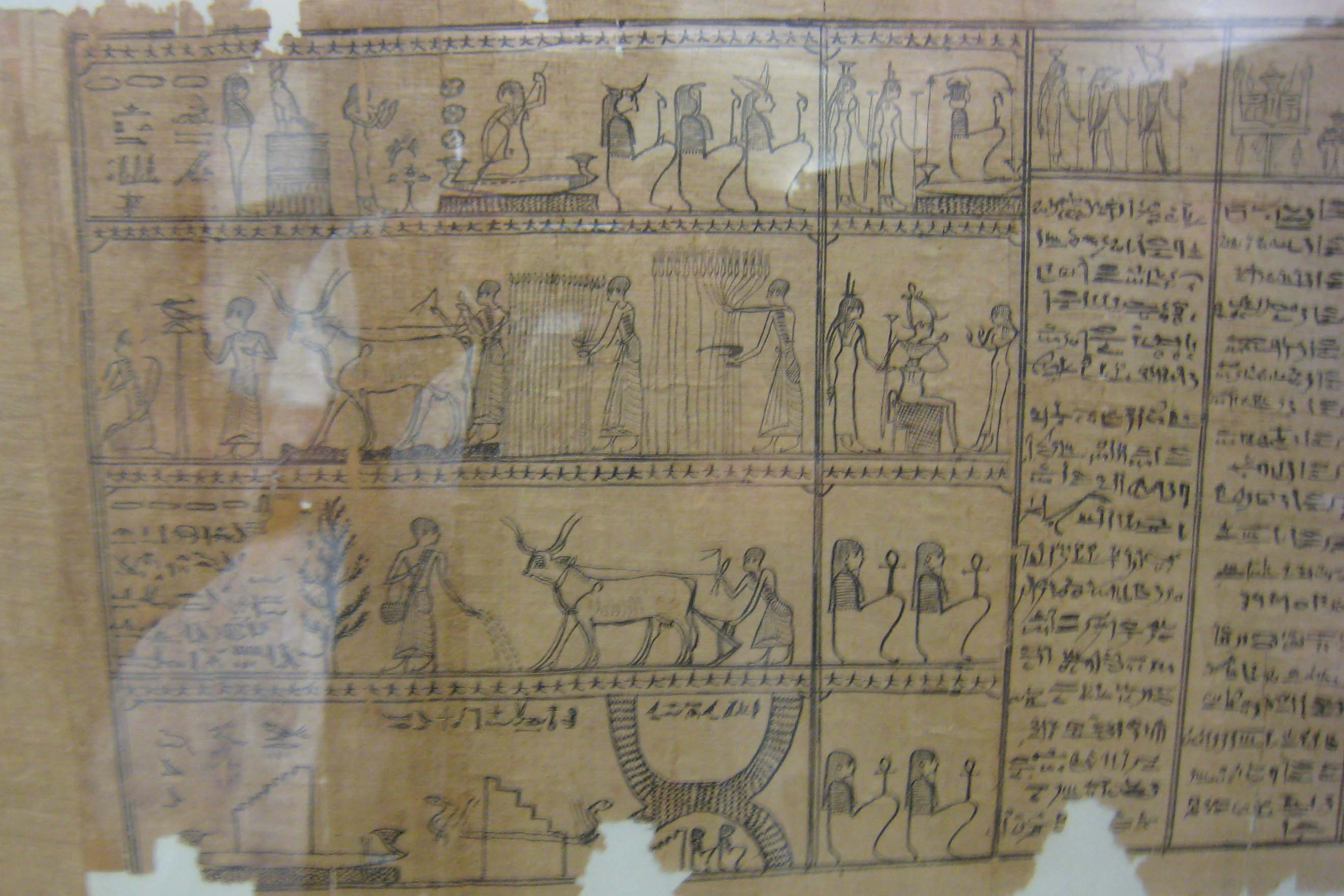 Exkursion ins Papyrusmuseum in der Nationalbibliothek in Wien
